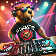 Castor mix 1