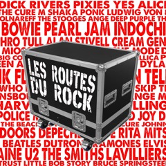LES ROUTES DU ROCK - ROUTE 216 DU 04 07 24 - VACHE DE BLUES