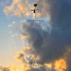 Tomy Wahl - Distroboy (Original Mix)