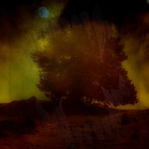 MOTZ Premiere: KinEthics - Prophecy