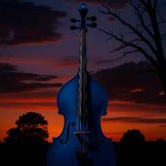 Nocturne Reverie