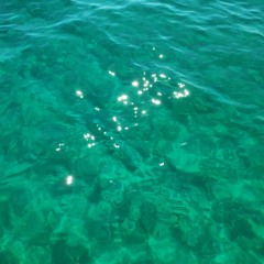Shrimp swarm in the Aegean Sea