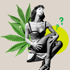 NO-MIDS-ZONE [FREE DOWNLOAD]