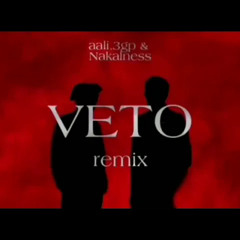 NAKALNESS - VETO(Remix)