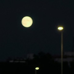 the rectangle moment