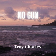 No Gun