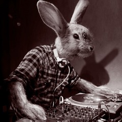 SillyRabbitRiddimIsForRavers