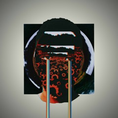 Arms and Sleepers - Multiform