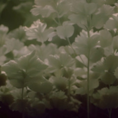 Equinox Tapes - Tape 12