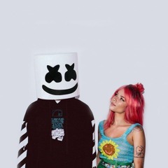 Be Kind (Dollar Bear Remix) - Marshmello & Halsey