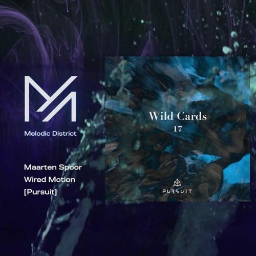 PREMIERE: Maarten Spoor - Wired Motion [Pursuit]