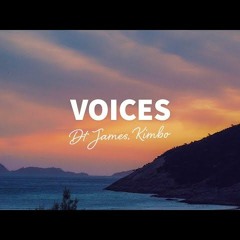 DT James - Voices (F3z Remix)