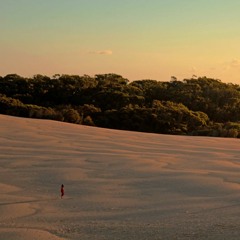 Crossing the Desert - Deep Dusk