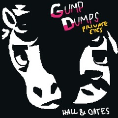 Private Eyes - Hall & Oates [Animal Crossing Cover]