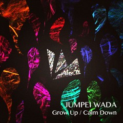 Jumpei Wada - Calm Down(preview)