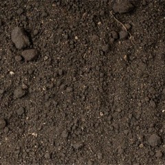 mulch