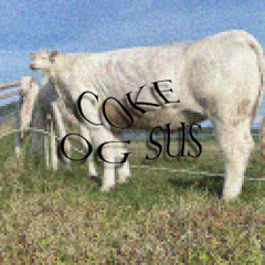 Coke og Sus - Rasmus Tousgaard