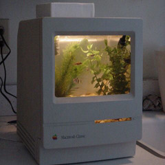 4월이 울고 있네