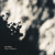 Artwork for Orchid Spring