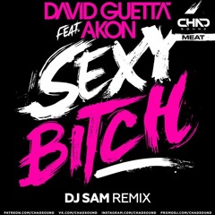 David Guetta feat. Akon - Sexy Bitch (DJ SAM Remix) Radio Edit