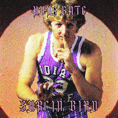 surfin' bird prod. lil paccy