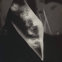 Sound Perception 009 w/ Paradox invites Bewegt (07.03.24)