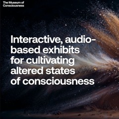Silvermouse at the Museum Of Consciousness (Noisily Festival 2024)