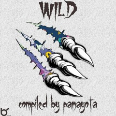 Roby feat Flagrant_-_Loose Your Mind Original Mix