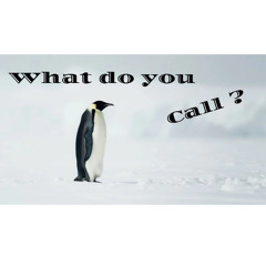 What Do You Call?