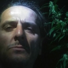 ayahuascatechprogdarkfullon