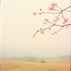 Spring Breeze
