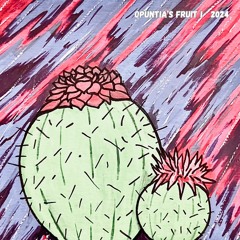 Opuntia's fruit I / 2024