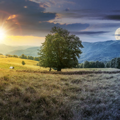 4 Elements in Nature Practice