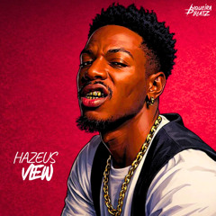 HAZEUS VIEW REMIX