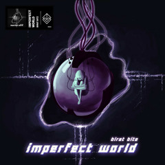 Imperfect World