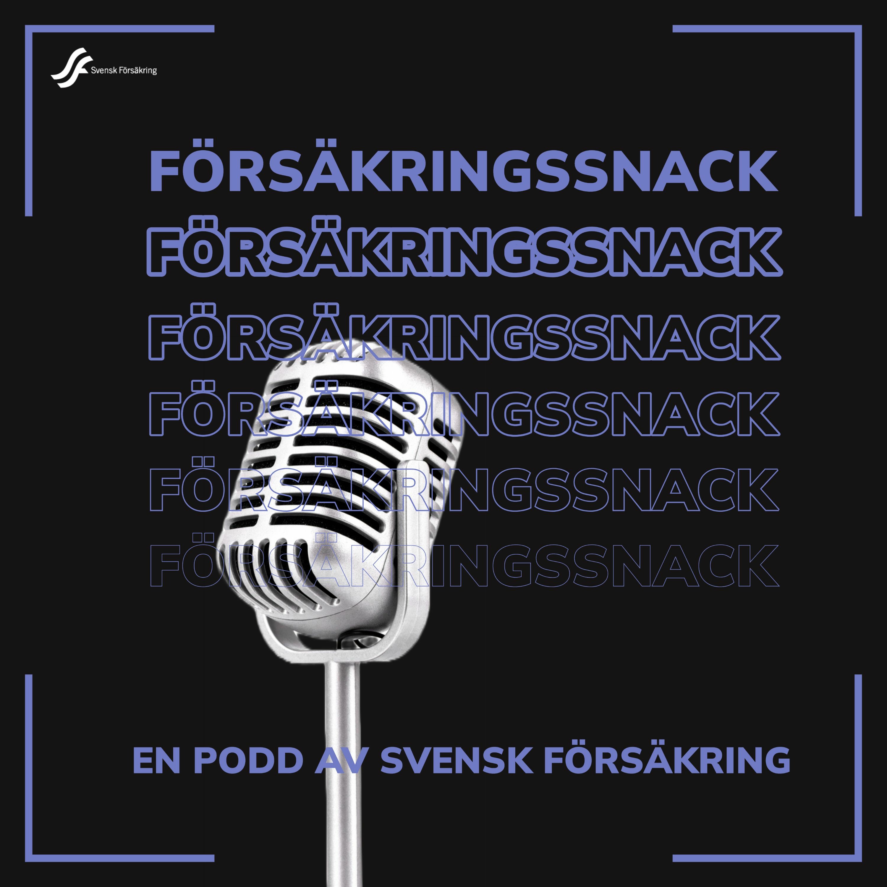 Försäkringssnack