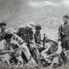 Tiếng đàn ta lư  drill
