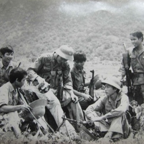Tiếng đàn ta lư  drill
