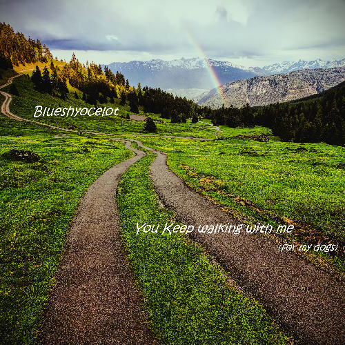 You keep walking with me (for my dogs)