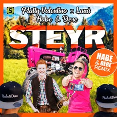 Habe & Dere - Steyr Remix