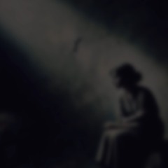 At Dawn, the Light is Harsher (2024)