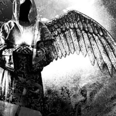 вокруг FLEX100 (w. twain)