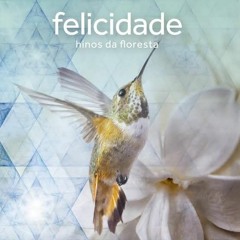 Farol da Alegria - Flávio Passos