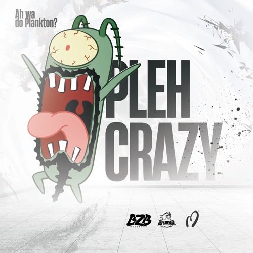 PLEH CRAZY (CRASH OUT) ([BRAM 2024]