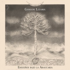 Ensueños Bajo la Araucaria