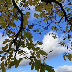 Herbsttag