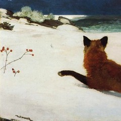 in detail