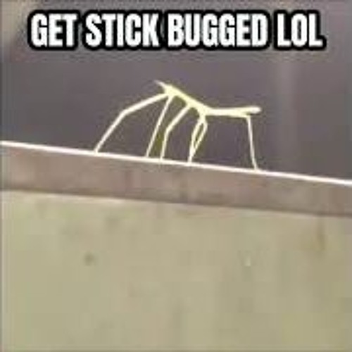 get stick bugged lol