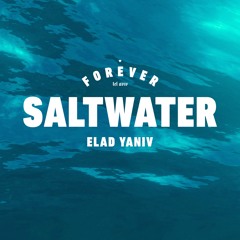 Elad Yaniv - Saltwater