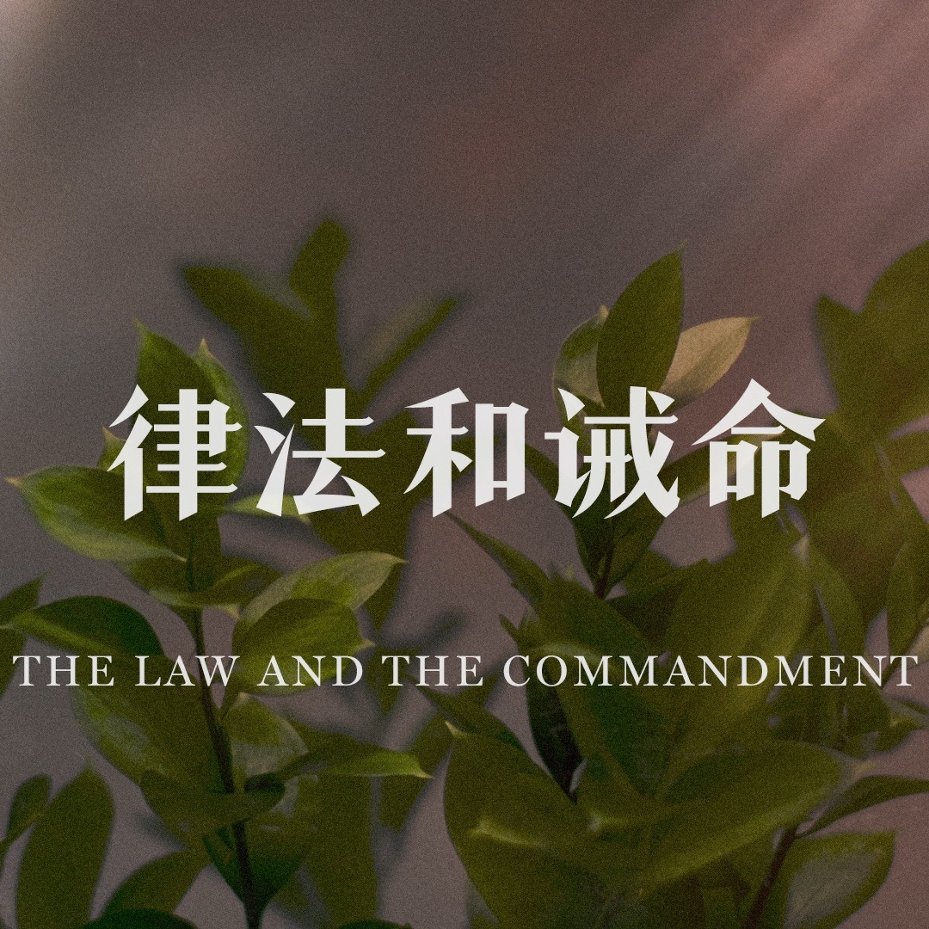 05/19/2024 【罗马书】律法和诫命（罗 7:7-12）——王唯权 牧师 episode artwork